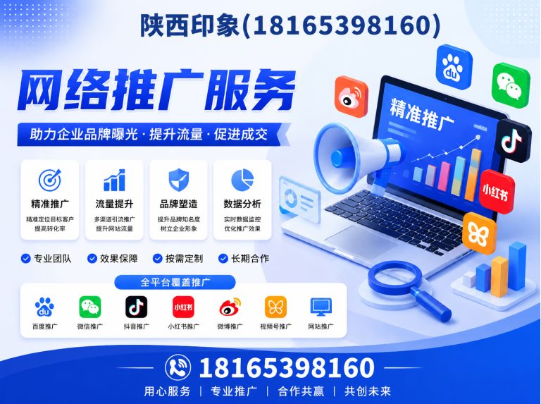 碑林区网络推广服务展示图